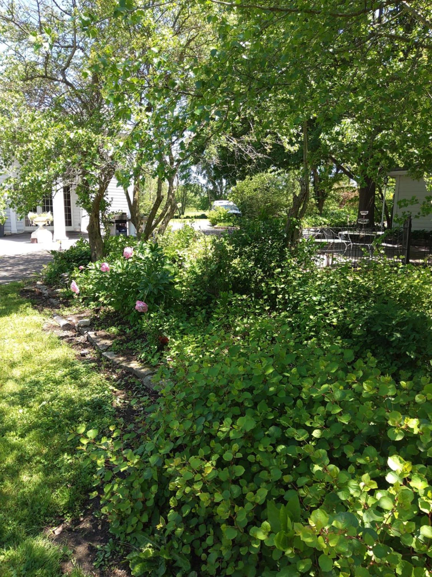 Inntiquity, A Country Inn Logansport Экстерьер фото